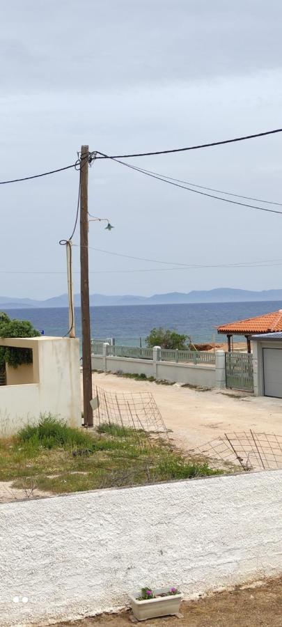 Το σπίτι στην Αλυκή Διαμέρισμα Αρτέμιδα Εξωτερικό φωτογραφία