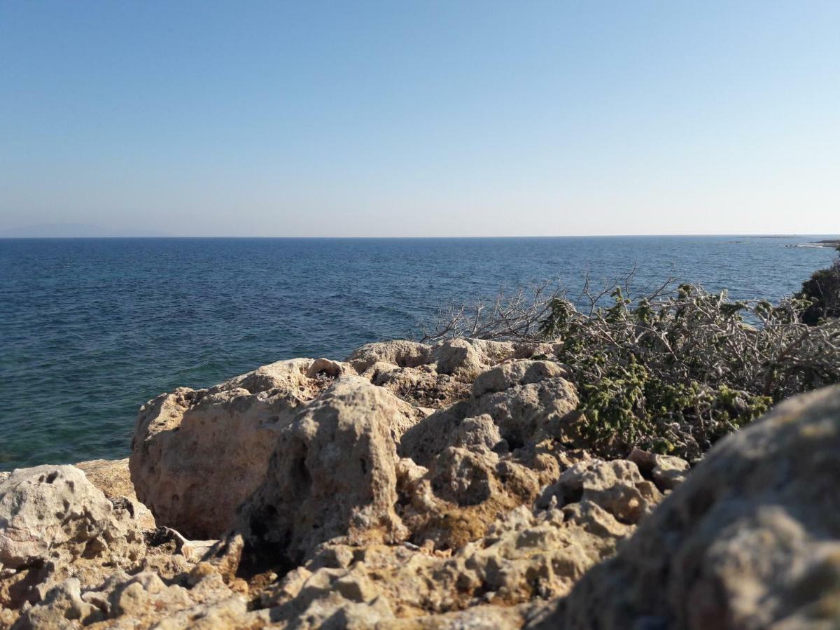 Το σπίτι στην Αλυκή Διαμέρισμα Αρτέμιδα Εξωτερικό φωτογραφία