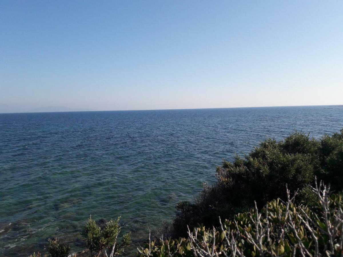 Το σπίτι στην Αλυκή Διαμέρισμα Αρτέμιδα Εξωτερικό φωτογραφία