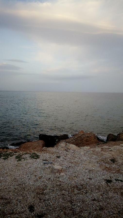 Το σπίτι στην Αλυκή Διαμέρισμα Αρτέμιδα Εξωτερικό φωτογραφία